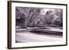 DuPage River Forest BW-Steve Gadomski-Framed Photographic Print