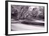 DuPage River Forest BW-Steve Gadomski-Framed Photographic Print