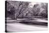DuPage River Forest BW-Steve Gadomski-Stretched Canvas