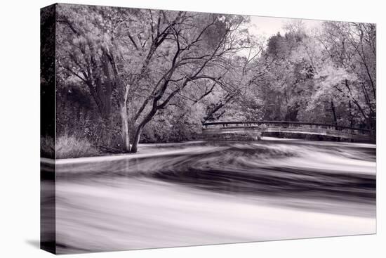 DuPage River Forest BW-Steve Gadomski-Stretched Canvas