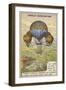 Dupuis-Delcourt Attempting to Measure the Direction of Air Currents Using Detatchable Balloons-null-Framed Giclee Print