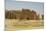 Dura-Europos Church, Syria-null-Mounted Photographic Print