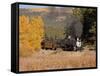 Durango and Silverton Narrow Gauge Railroad, Colorado, USA-Don Grall-Framed Stretched Canvas