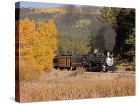Durango and Silverton Narrow Gauge Railroad, Colorado, USA-Don Grall-Stretched Canvas