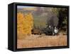 Durango and Silverton Narrow Gauge Railroad, Colorado, USA-Don Grall-Framed Stretched Canvas