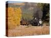 Durango and Silverton Narrow Gauge Railroad, Colorado, USA-Don Grall-Stretched Canvas