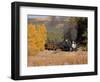 Durango and Silverton Narrow Gauge Railroad, Colorado, USA-Don Grall-Framed Photographic Print