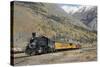 Durango and Silverton Narrow Gauge Railroad, Silverton, Colorado, Usa-Richard Maschmeyer-Stretched Canvas