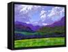 Durango Landscape-Patty Baker-Framed Stretched Canvas