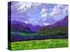 Durango Landscape-Patty Baker-Stretched Canvas
