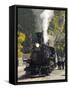 Durango & Silverton Narrow Gauge Railroad, Silverton Station, Colorado, USA-Cindy Miller Hopkins-Framed Stretched Canvas