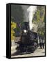 Durango & Silverton Narrow Gauge Railroad, Silverton Station, Colorado, USA-Cindy Miller Hopkins-Framed Stretched Canvas