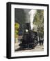 Durango & Silverton Narrow Gauge Railroad, Silverton Station, Colorado, USA-Cindy Miller Hopkins-Framed Photographic Print