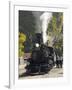 Durango & Silverton Narrow Gauge Railroad, Silverton Station, Colorado, USA-Cindy Miller Hopkins-Framed Photographic Print