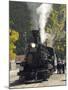 Durango & Silverton Narrow Gauge Railroad, Silverton Station, Colorado, USA-Cindy Miller Hopkins-Mounted Photographic Print