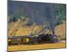 Durango, Silverton Train, Colorado, USA-Chuck Haney-Mounted Premium Photographic Print