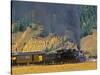 Durango, Silverton Train, Colorado, USA-Chuck Haney-Stretched Canvas