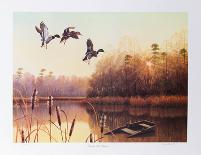 Forgotten Lake Mallards-Durant Ball-Collectable Print