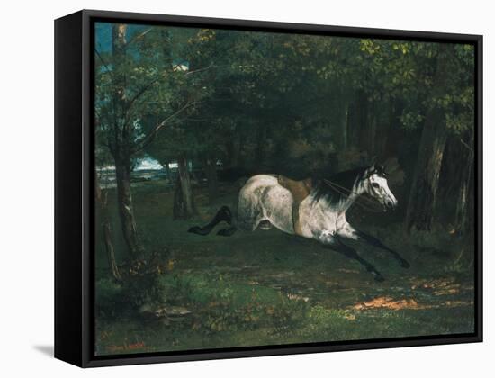 Durchgehendes Pferd (Le Piqueur Ou Le Cheval Dérobé), 1859-1861-Gustave Courbet-Framed Stretched Canvas