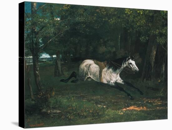 Durchgehendes Pferd (Le Piqueur Ou Le Cheval Dérobé), 1859-1861-Gustave Courbet-Stretched Canvas