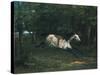 Durchgehendes Pferd (Le Piqueur Ou Le Cheval Dérobé), 1859-1861-Gustave Courbet-Stretched Canvas