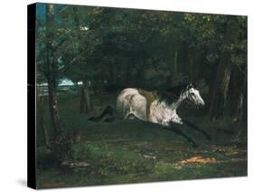 Durchgehendes Pferd (Le Piqueur Ou Le Cheval Dérobé), 1859-1861-Gustave Courbet-Stretched Canvas