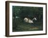 Durchgehendes Pferd (Le Piqueur Ou Le Cheval Dérobé), 1859-1861-Gustave Courbet-Framed Giclee Print