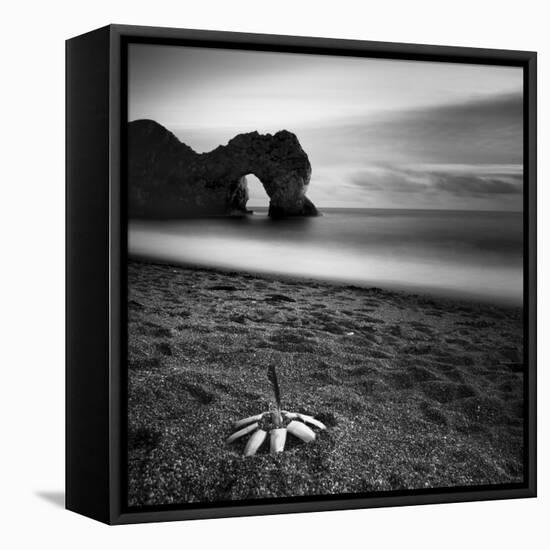 Durdle Feather-Nina Papiorek-Framed Stretched Canvas