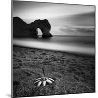 Durdle Feather-Nina Papiorek-Mounted Photographic Print