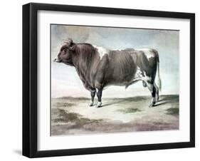 Durham Bull, 1856-August Kollner-Framed Giclee Print