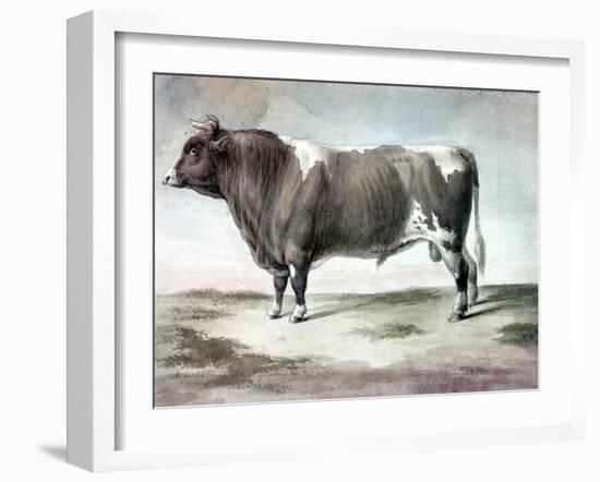 Durham Bull, 1856-August Kollner-Framed Giclee Print