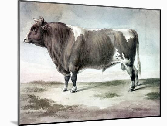 Durham Bull, 1856-August Kollner-Mounted Giclee Print