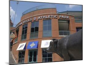 Durham Bulls Athletic Park, Durham, North Carolina-Lynn Seldon-Mounted Photographic Print