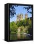 Durham Cathedral from River Wear, County Durham, England-Geoff Renner-Framed Stretched Canvas