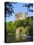 Durham Cathedral from River Wear, County Durham, England-Geoff Renner-Stretched Canvas