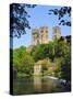 Durham Cathedral from River Wear, County Durham, England-Geoff Renner-Stretched Canvas