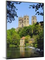 Durham Cathedral from River Wear, County Durham, England-Geoff Renner-Mounted Photographic Print