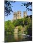 Durham Cathedral from River Wear, County Durham, England-Geoff Renner-Mounted Photographic Print