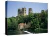 Durham Cathedral, Unesco World Heritage Site, Durham, County Durham, England, United Kingdom-Charles Bowman-Stretched Canvas