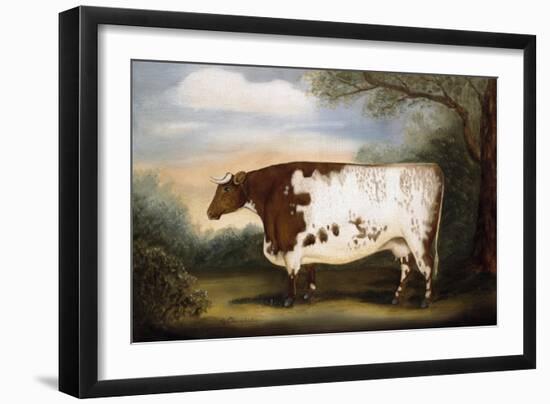 Durham Cow-Porter Design-Framed Giclee Print