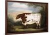 Durham Cow-Porter Design-Framed Giclee Print