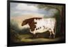 Durham Cow-Porter Design-Framed Giclee Print