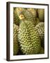 Durian For Sale, Mong Kok, Hong Kong, China, Asia-null-Framed Photographic Print