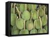 Durian Fruit Piled Up for Sale in Bangkok, Thailand, Southeast Asia, Asia-Charcrit Boonsom-Framed Stretched Canvas