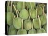 Durian Fruit Piled Up for Sale in Bangkok, Thailand, Southeast Asia, Asia-Charcrit Boonsom-Stretched Canvas