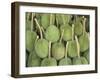 Durian Fruit Piled Up for Sale in Bangkok, Thailand, Southeast Asia, Asia-Charcrit Boonsom-Framed Photographic Print