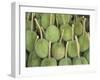 Durian Fruit Piled Up for Sale in Bangkok, Thailand, Southeast Asia, Asia-Charcrit Boonsom-Framed Photographic Print