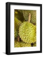 Durians, Can Duoc Market, Long An Province, Mekong Delta, Vietnam-David Wall-Framed Photographic Print