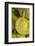 Durians, Can Duoc Market, Long An Province, Mekong Delta, Vietnam-David Wall-Framed Photographic Print