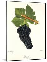 Durif Grape-J. Troncy-Mounted Giclee Print